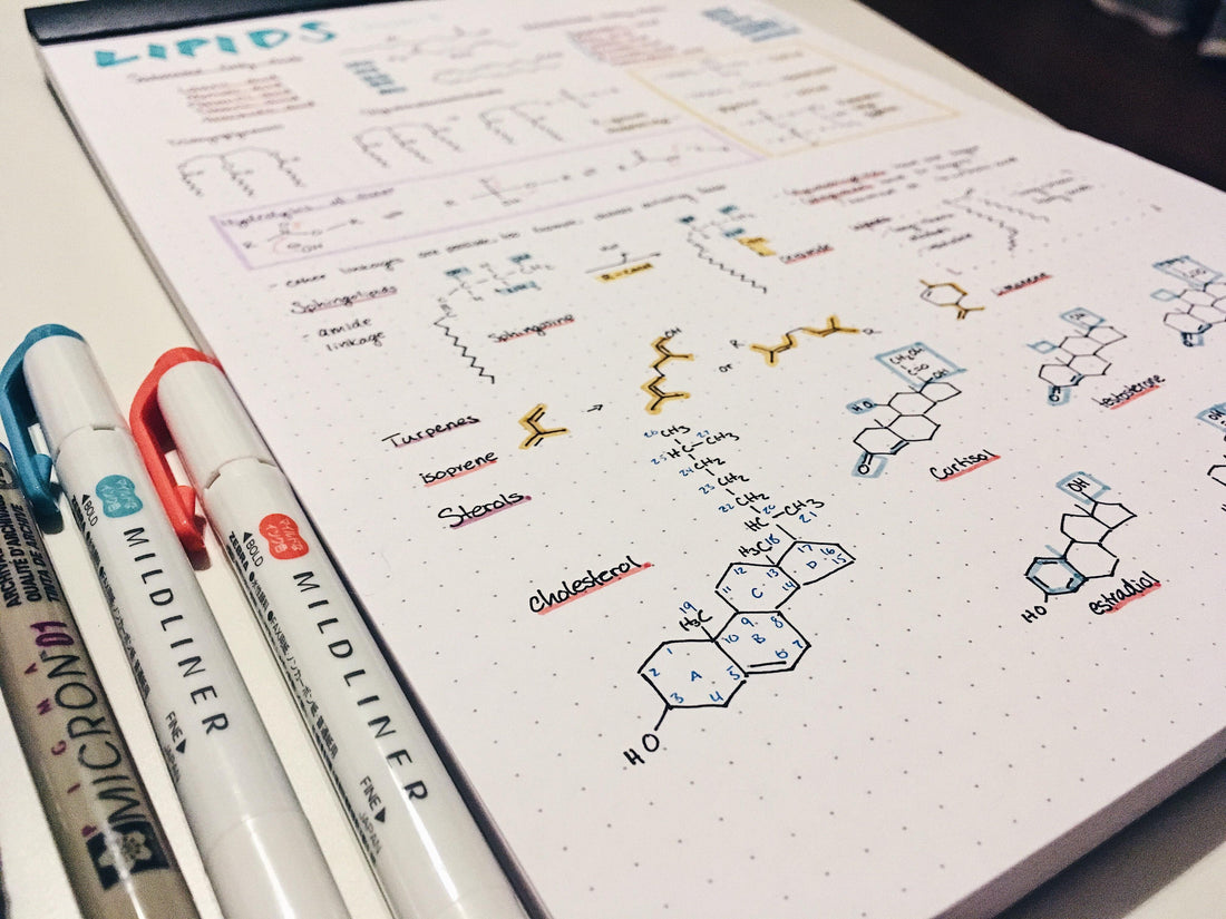 Digital-zu-Papier Stiftplotter für Studenten | UUNA TEK