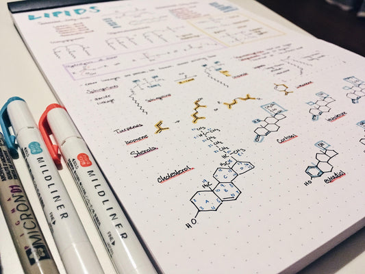Digital-zu-Papier Stiftplotter für Studenten | UUNA TEK